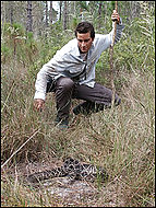 Bear Grylls meets a snake on Man vs. Wild