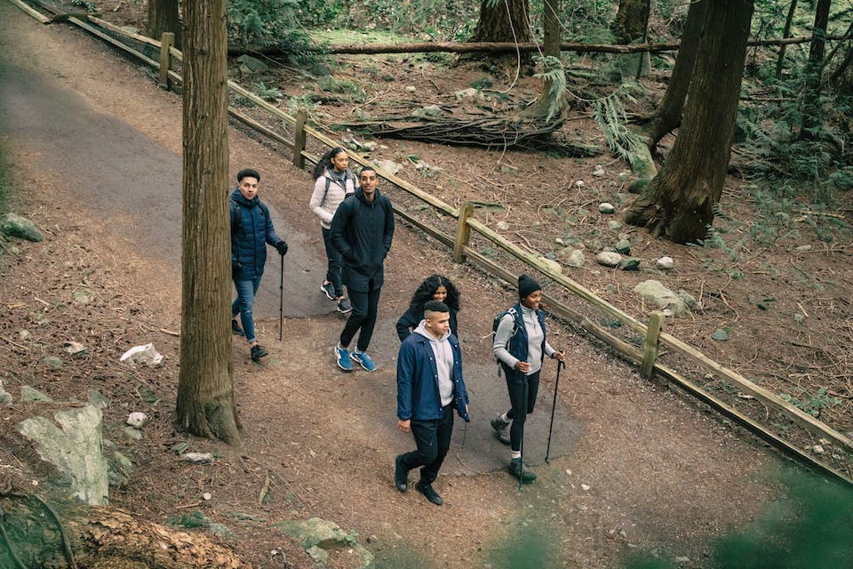 Photo by PNW Production: https://www.pexels.com/photo/people-hiking-in-a-forest-7624991/